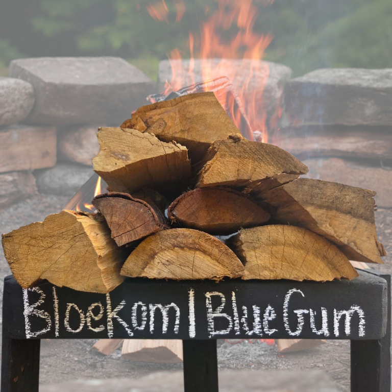 bloekom bluegum